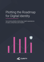 Plotting the Roadmap for Digital Identity
