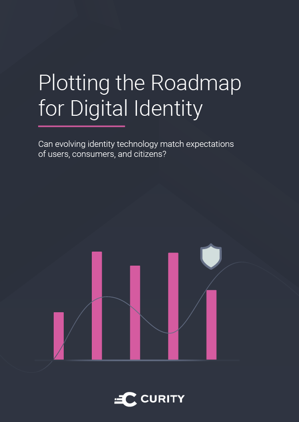 Plotting the Roadmap for Digital Identity