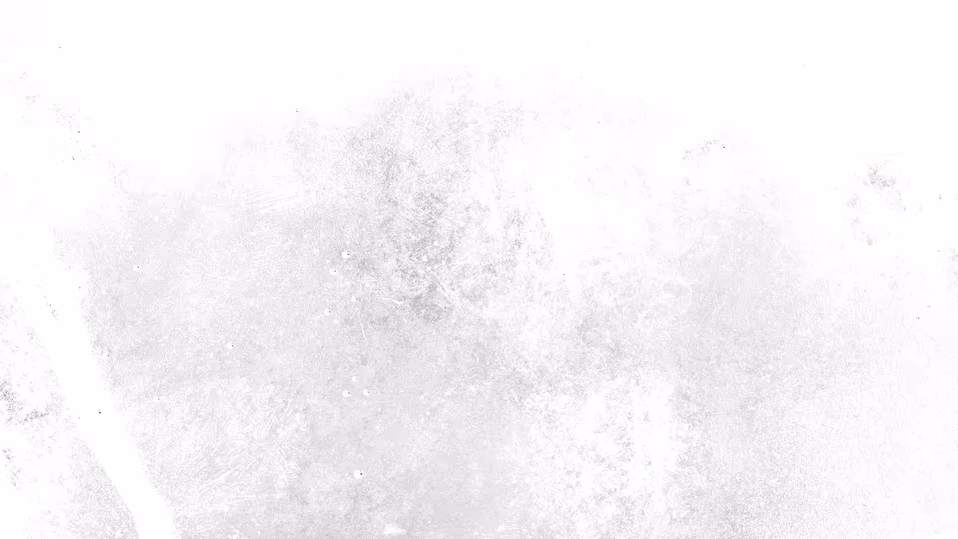 Landing Flavors BG