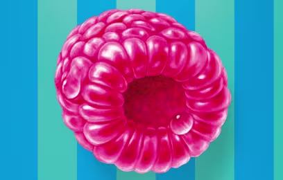Raspberry on striped background