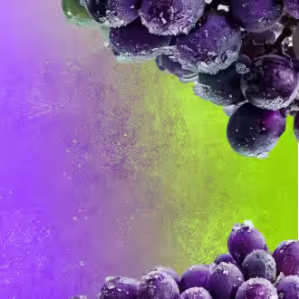 Sour Grape checkbox