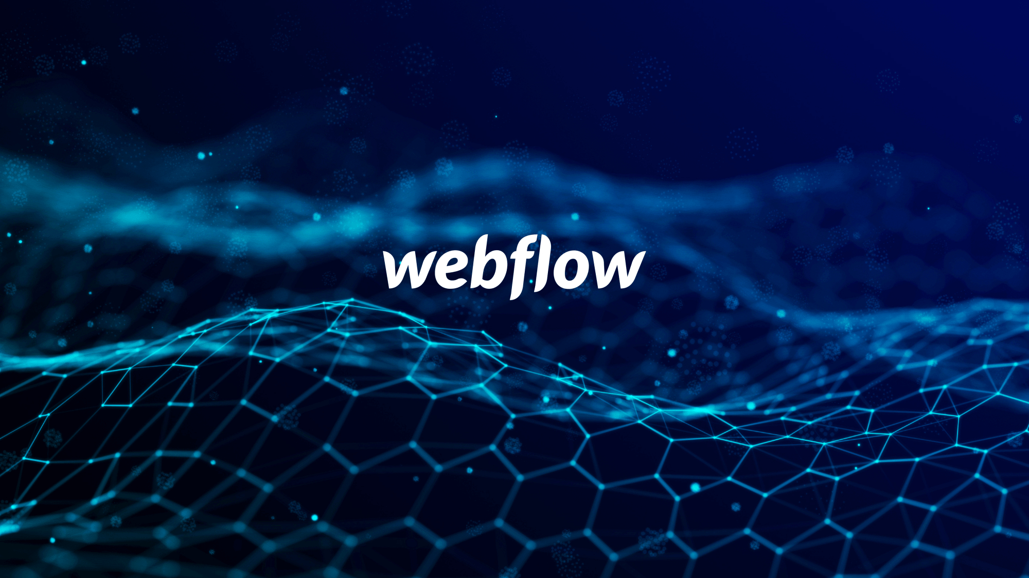 Webflow logo 