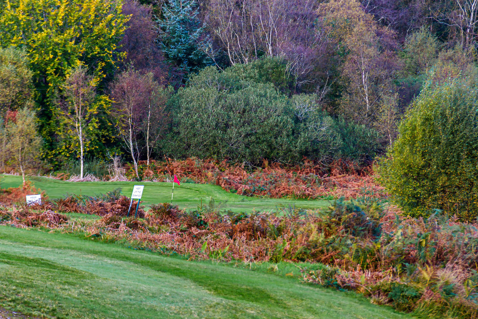 View across the Lamlash Golf Club course with Lamlash Bay beyond
