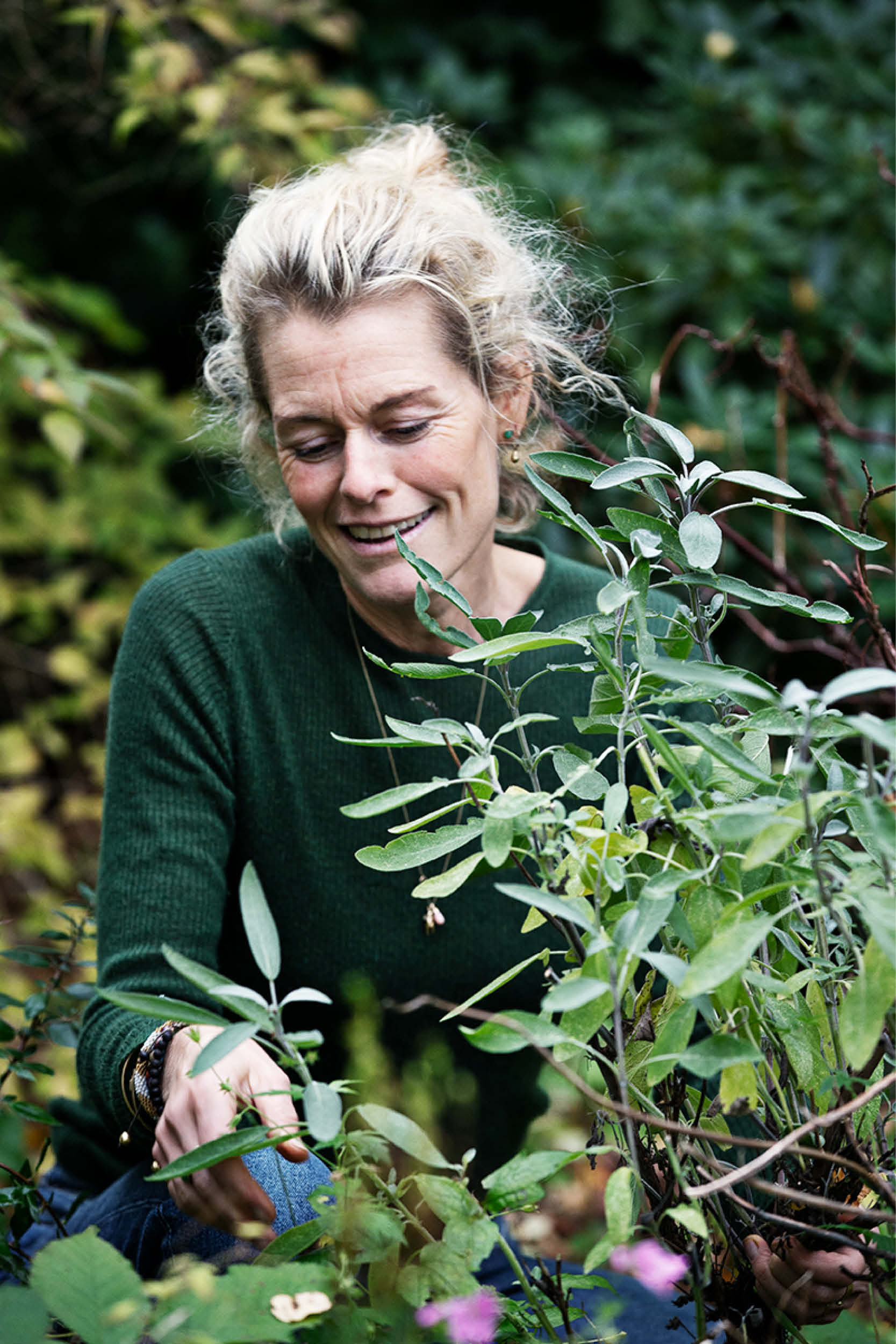 Natur-Retreat i de svenske skove