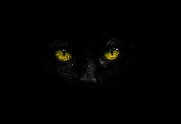 Black Cat Names