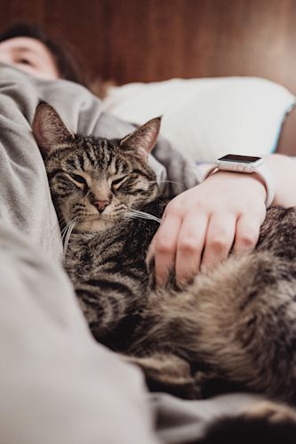 Nerdy Cats Names