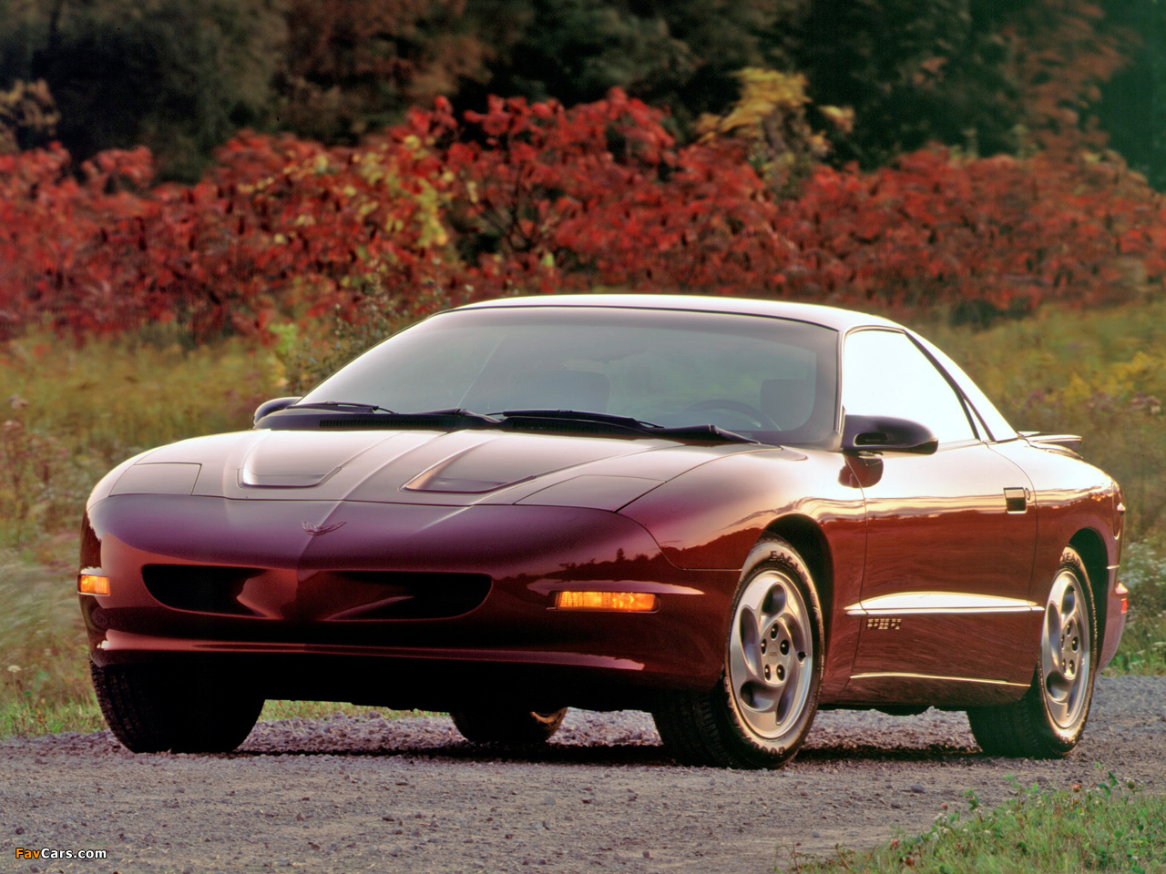 Pontiac Firebird 1993