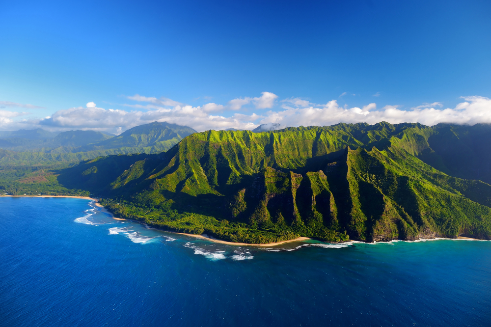 Hawaii Businesses For Sale DealStream