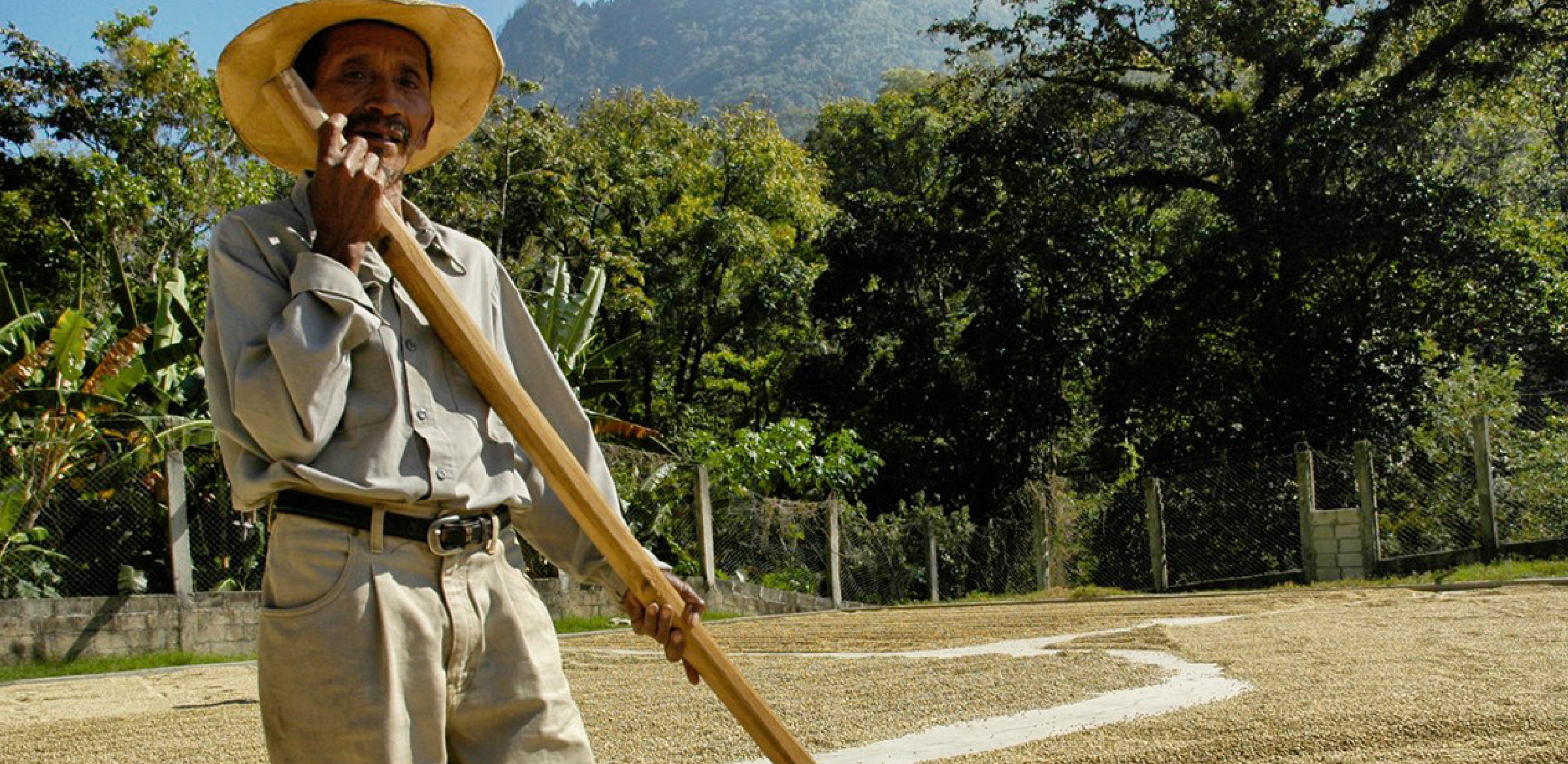 Ricardo Zelaya | Stumptown Coffee Roasters