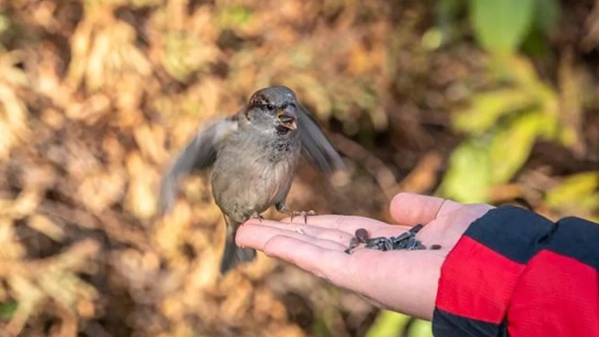 CMSwire-hero