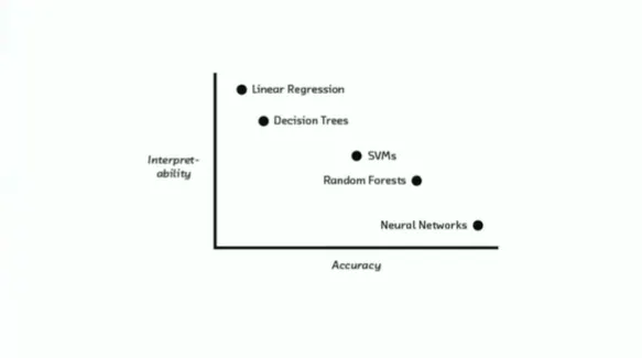 Black Box Machine Learning Models - Issues and Opportunities