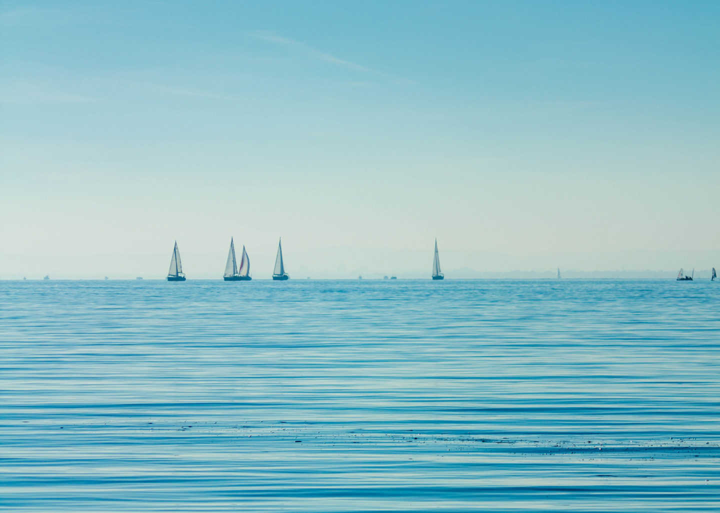 A calm day on the water