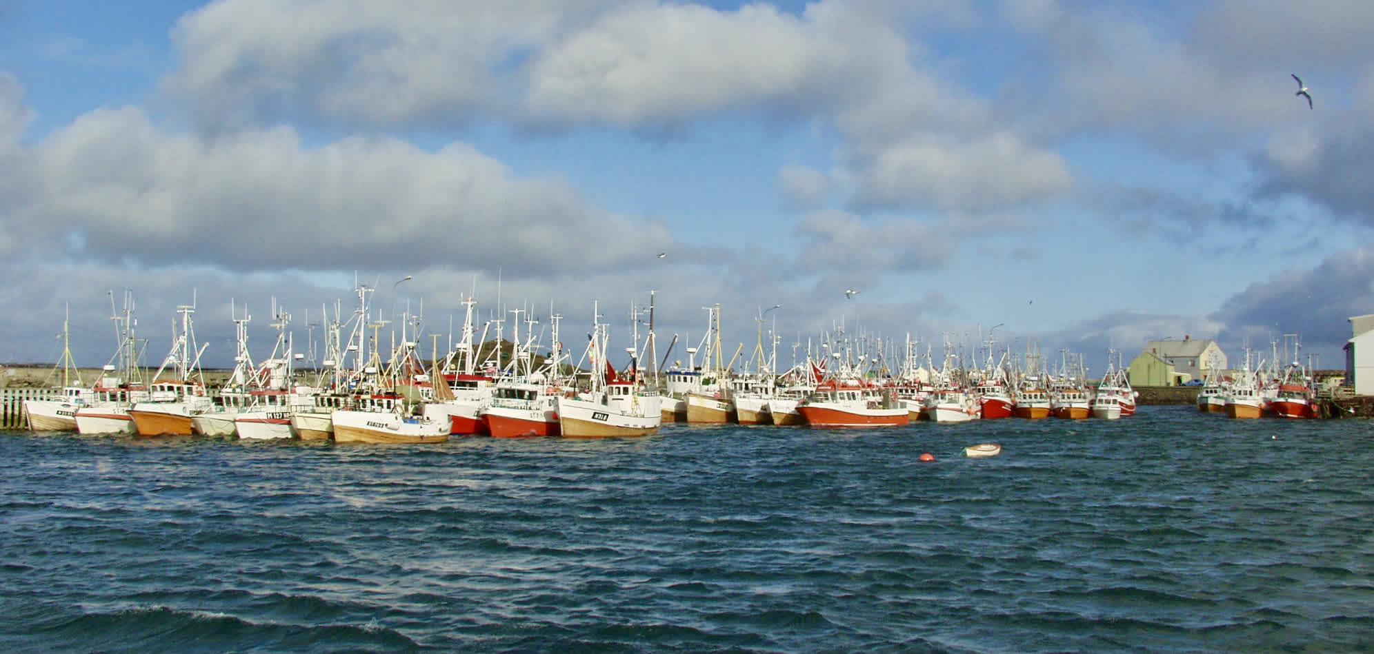 The fishing fleet in Røst during Lofotfiske. Image courtesy of Redningsselskapet.