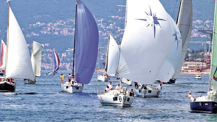 Orca - Sail better with insightful instruments