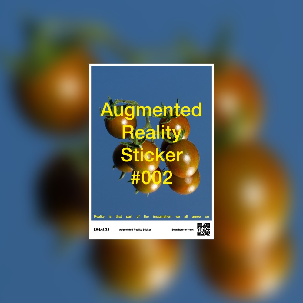 Augmented Reality Work
