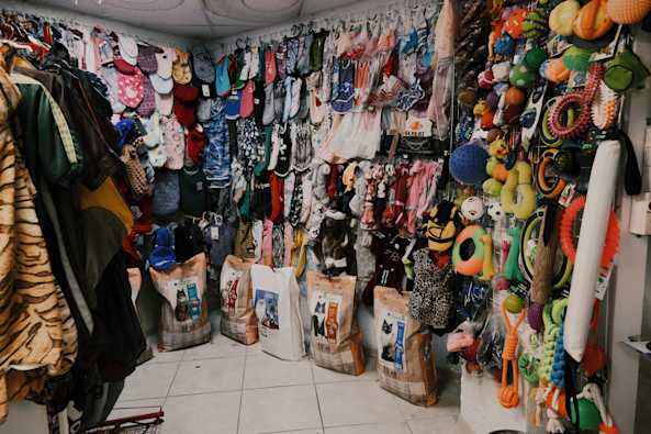Petshop