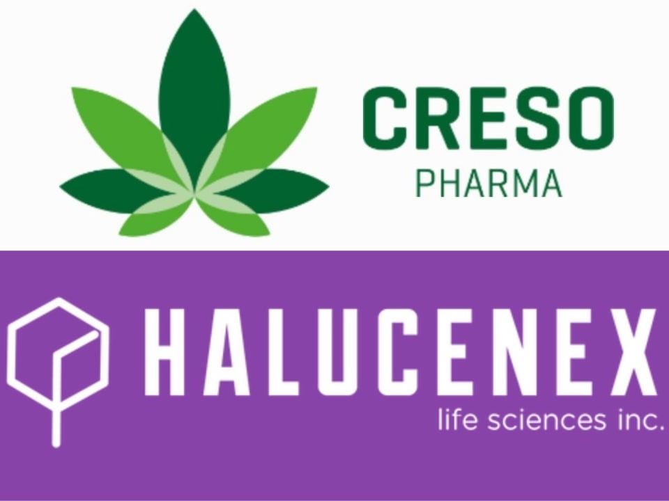Creso and Halucenex logos