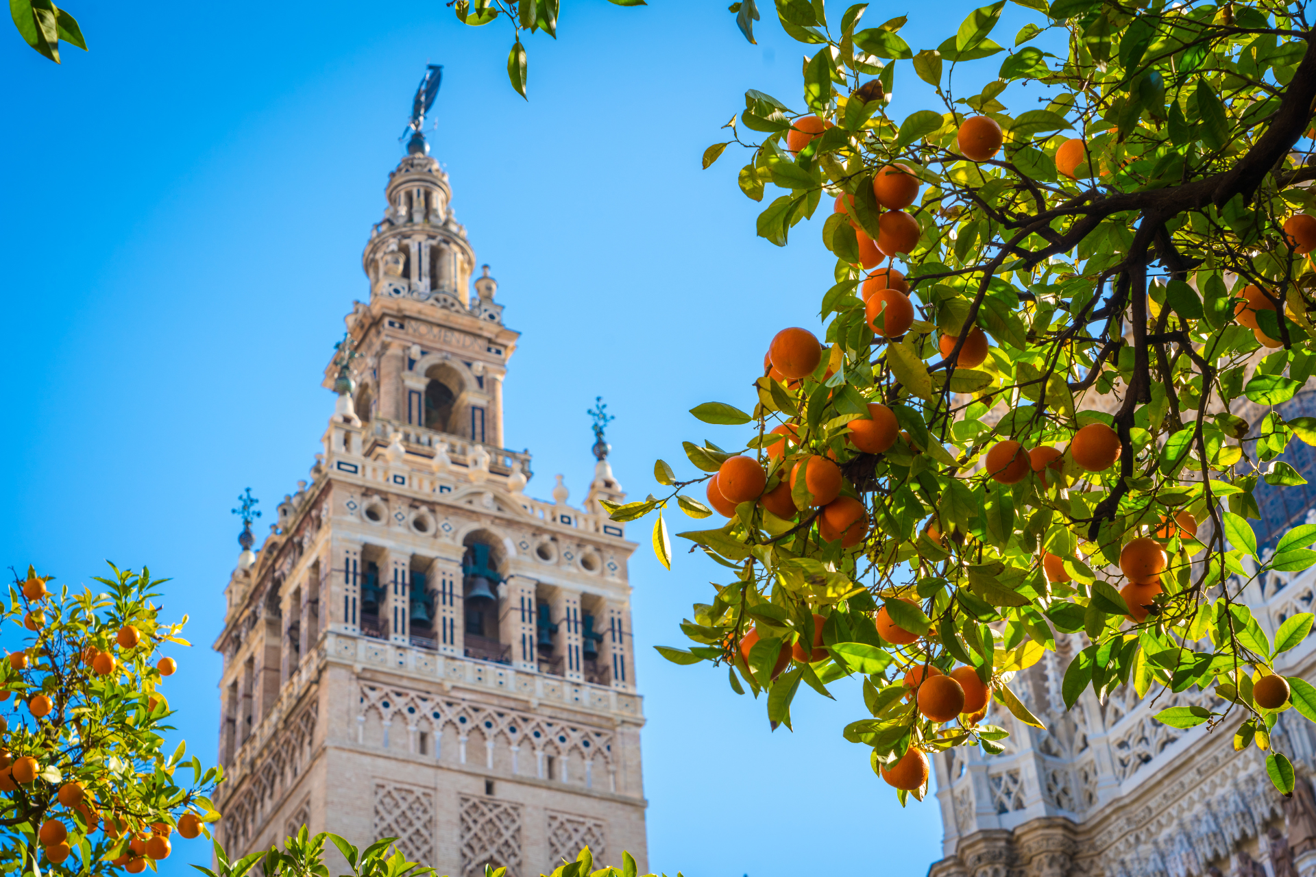 Vakantie Sevilla