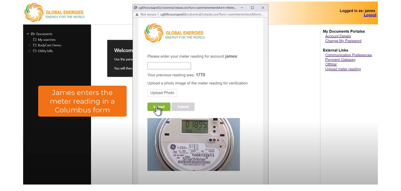screenshot showing dynamic personalization for a utility customer