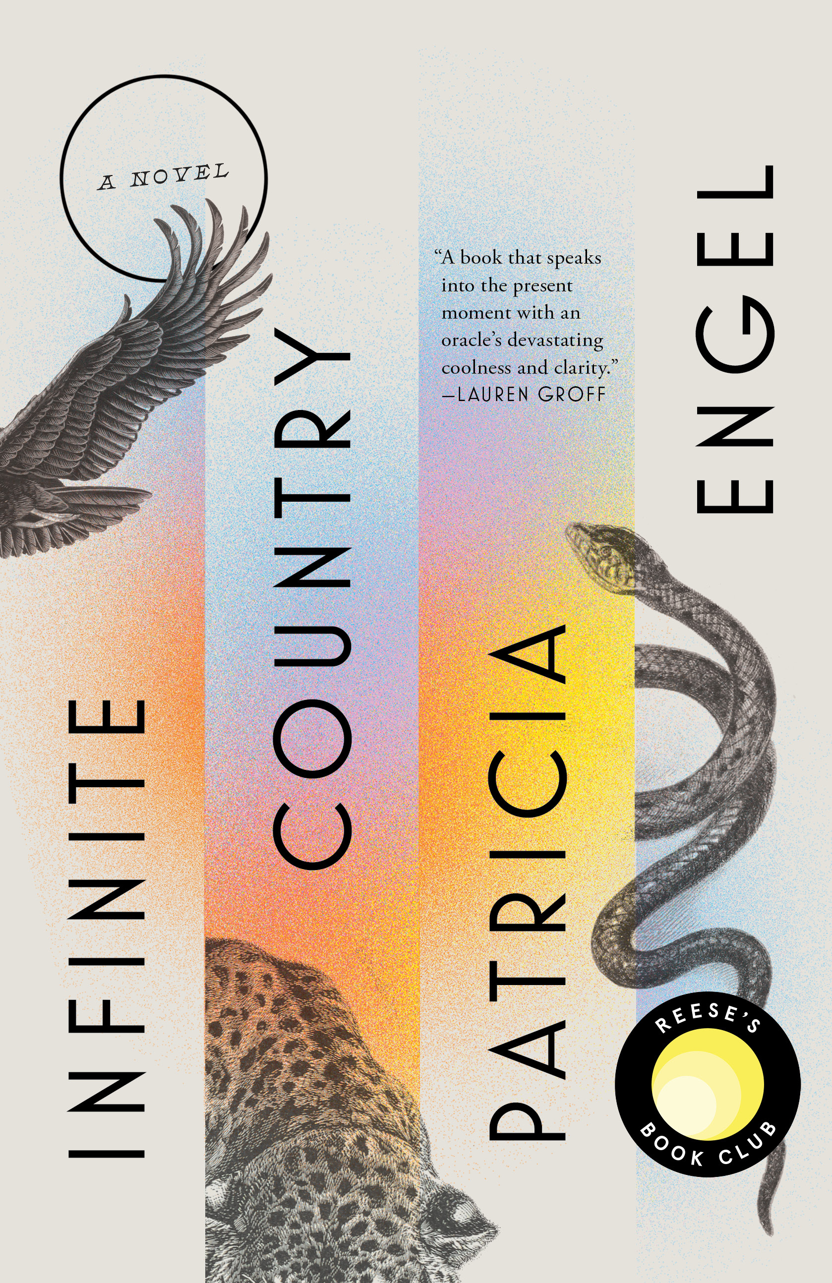 infinite country book review