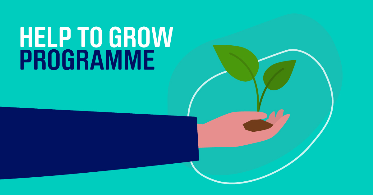 Help to Grow scheme: everything business owners need to know