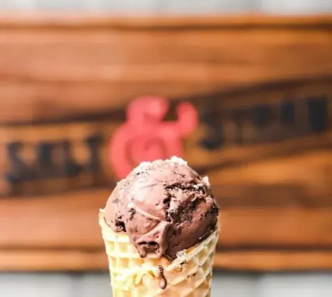 salt & straw - chocolate hazelnut