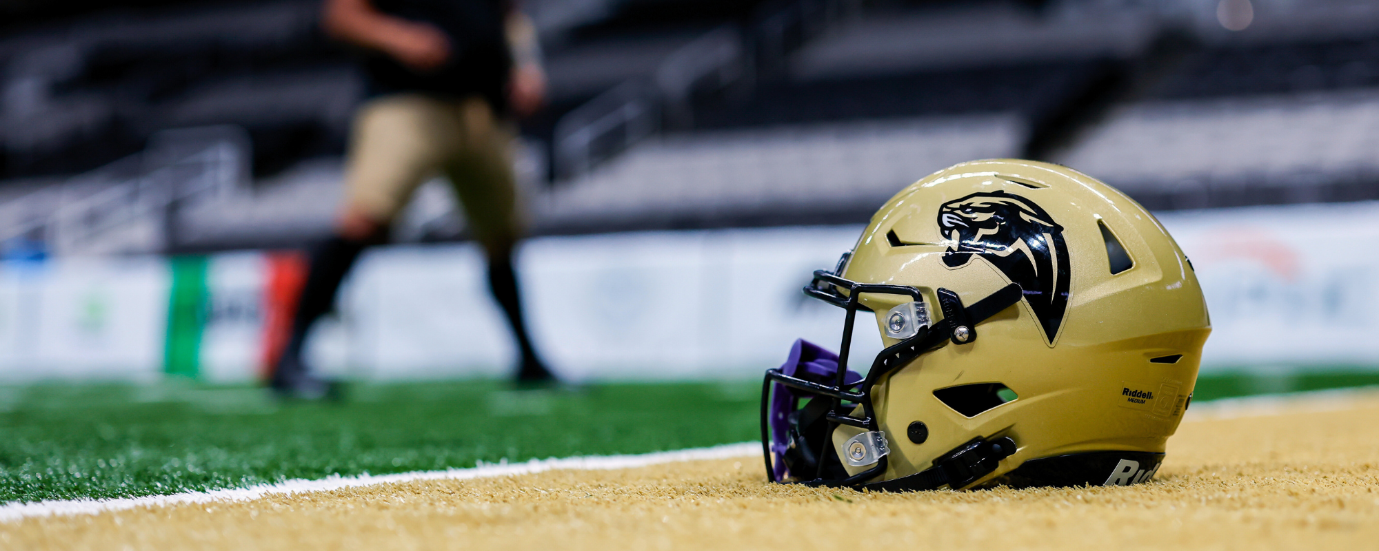 DDfB - Bay Area Panthers - Header