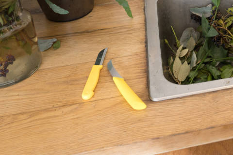 Mx Blog - The Best Professional Flower Tools for Your Business - Floral knife