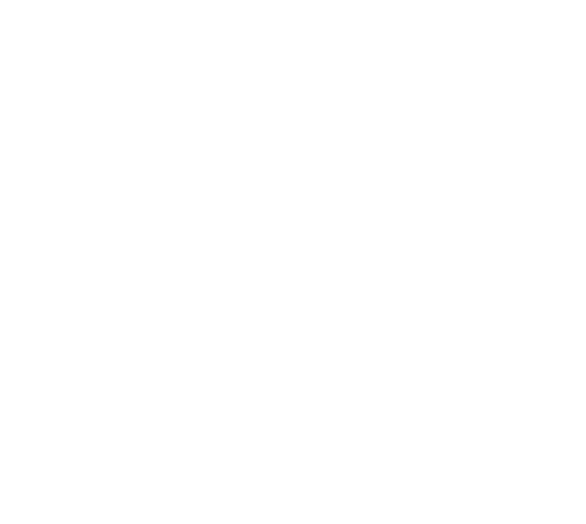dx beyondthedash logo white png