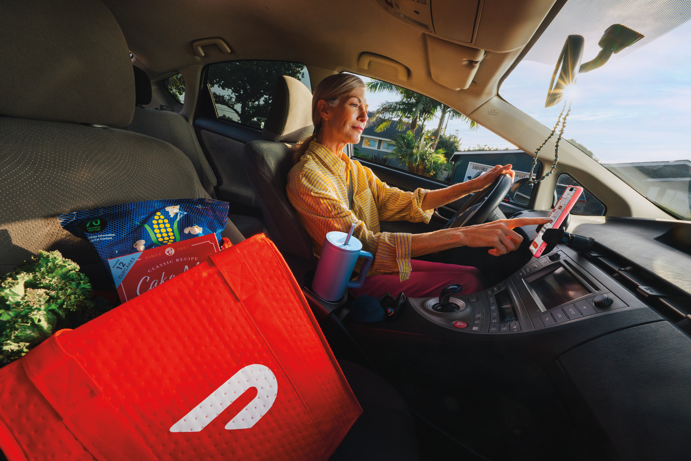 Dx - Dasher in Car 