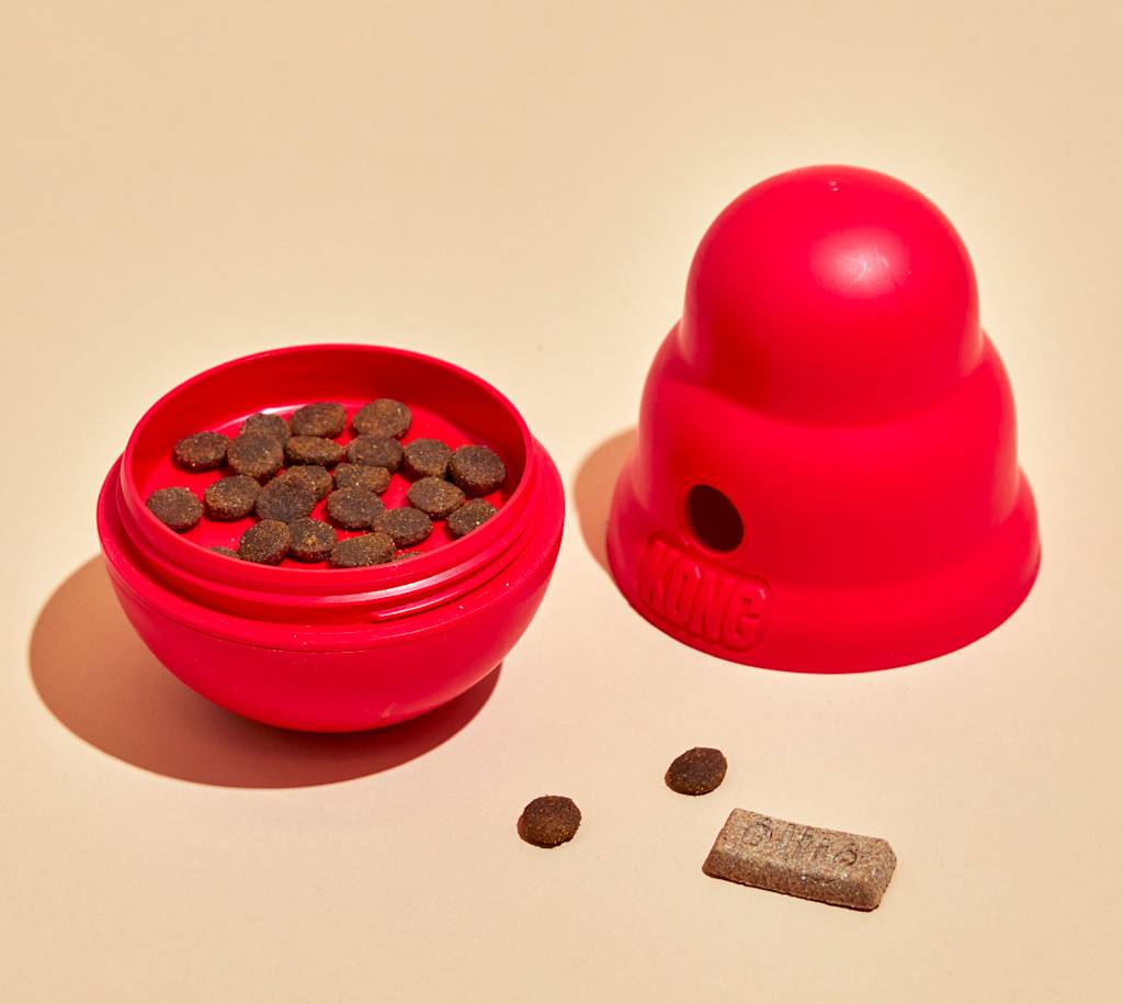 The Absolute Best Dog Toy The KONG Wobbler DoorDash Blog