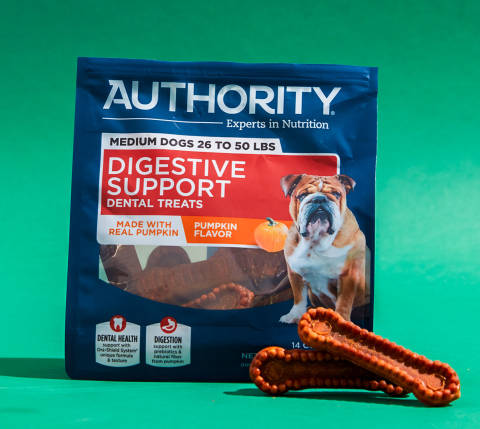 CxBlog-DD-DogTreats-Authority