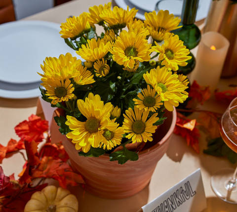 CxBlog-DD-Thanksgiving-Table-Flower