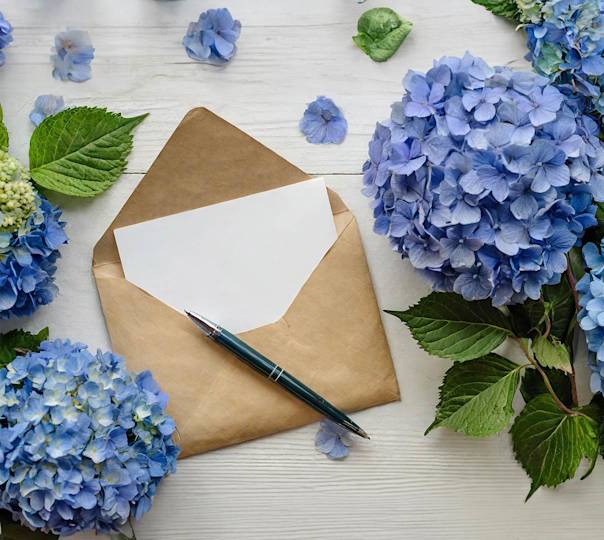 16 Flower Meanings And Card Messages To Inspire Customers DoorDash 16-flower-meanings-and-card-messages-to-inspire-customers-doordash