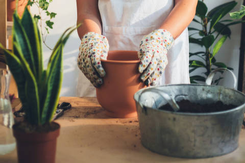Mx Blog - The Best Professional Flower Tools for Your Business - Garden gloves