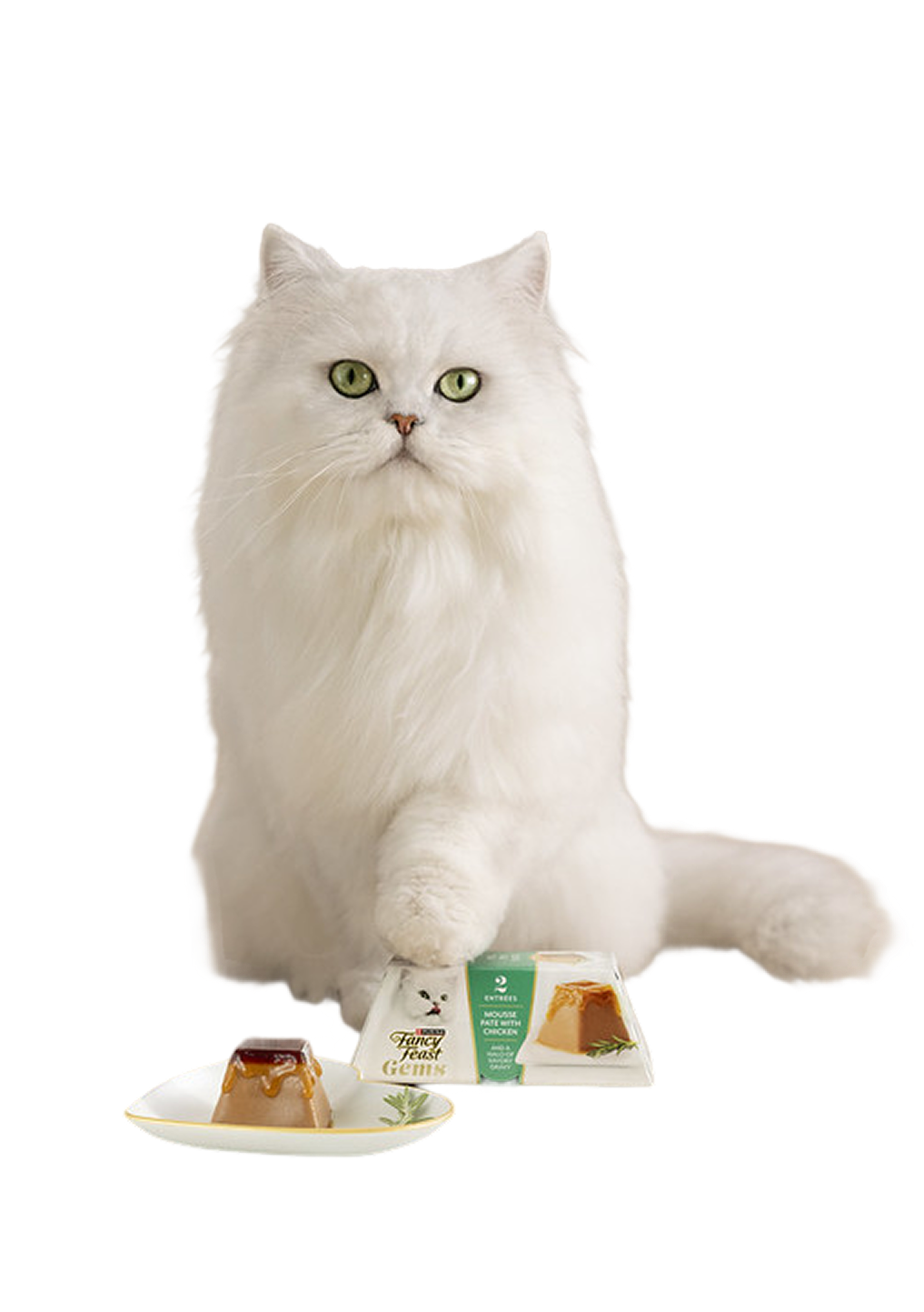 Ads - Purina - SS Card - Image