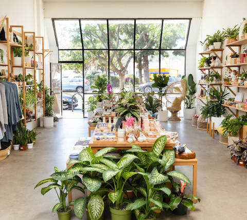 Interior of Greenwood Shop