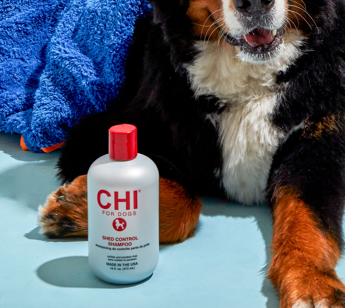 The 6 Best Dog Shampoos for Every Fur Type and Budget DoorDash Blog