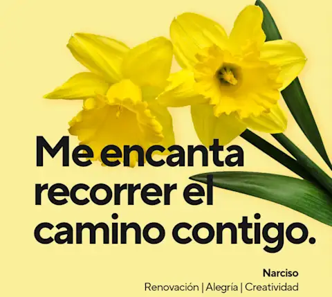 Mx Blog - A Florist's Guide to Flower Card Messages and Meanings - Love this journey