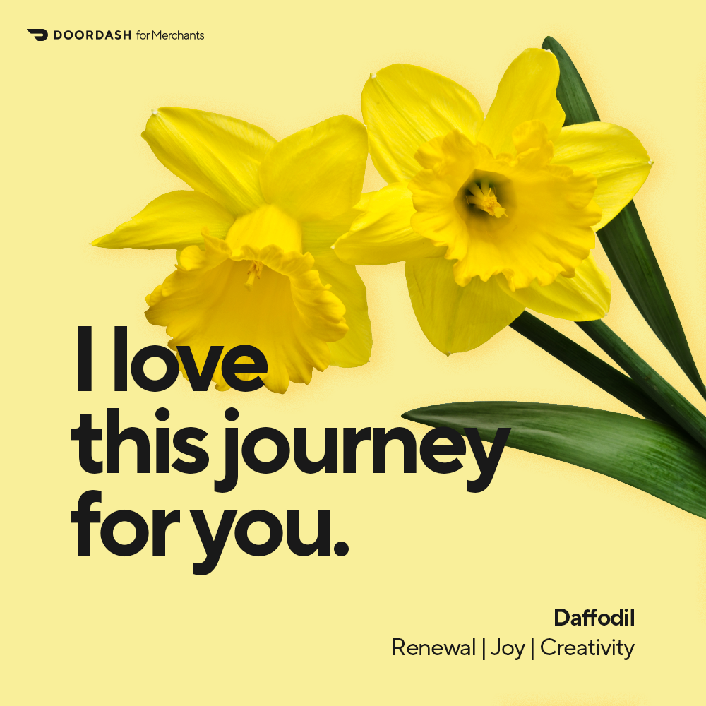 Mx Blog - A Florist's Guide to Flower Card Messages and Meanings - Love this journey