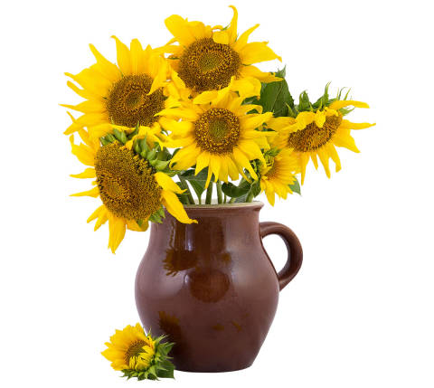 CxBlog-Gifts-CatchAll-Sunflower