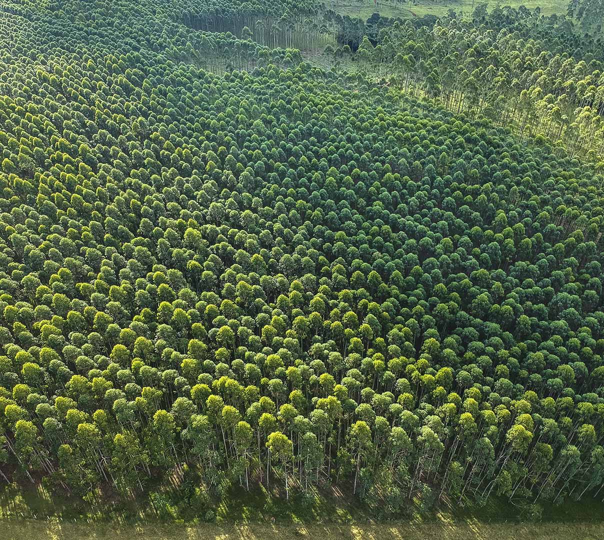 Doordash Impact Sustainability