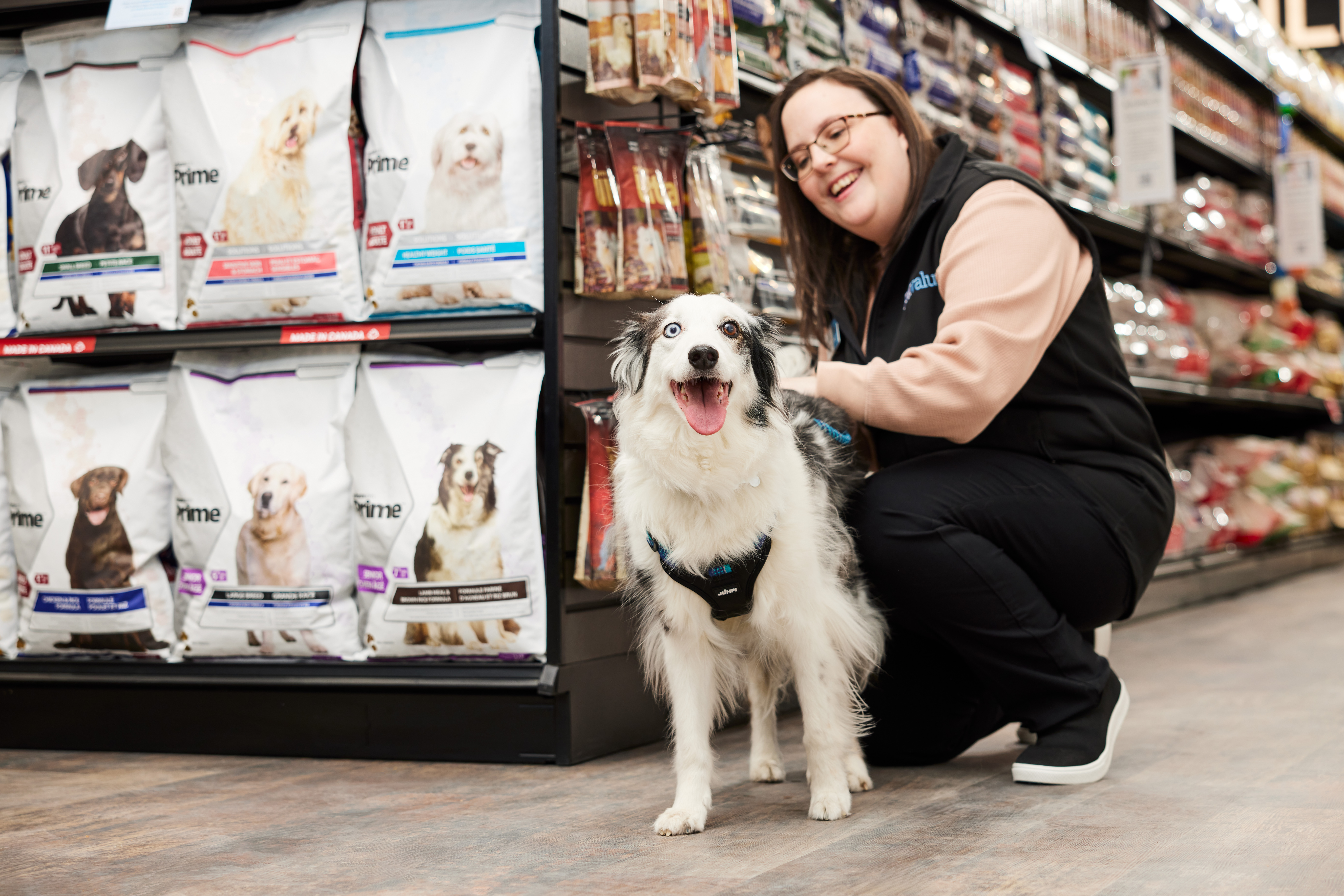 Pet Valu Newsroom Post Image (2)