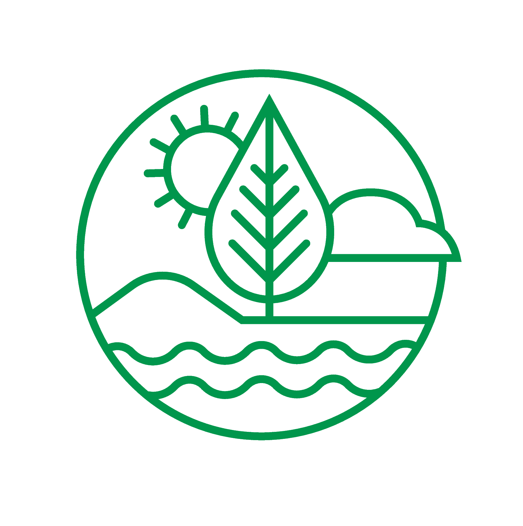 Supporting the Environment