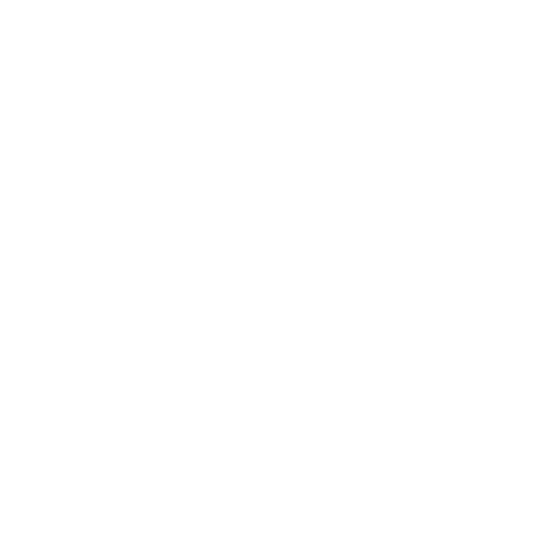 White FNZ logo