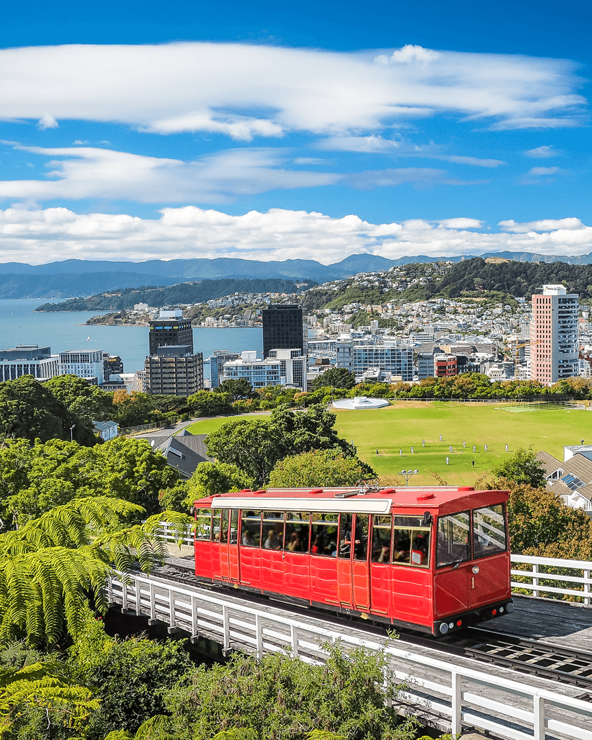 New Zealand Wellington OPT.