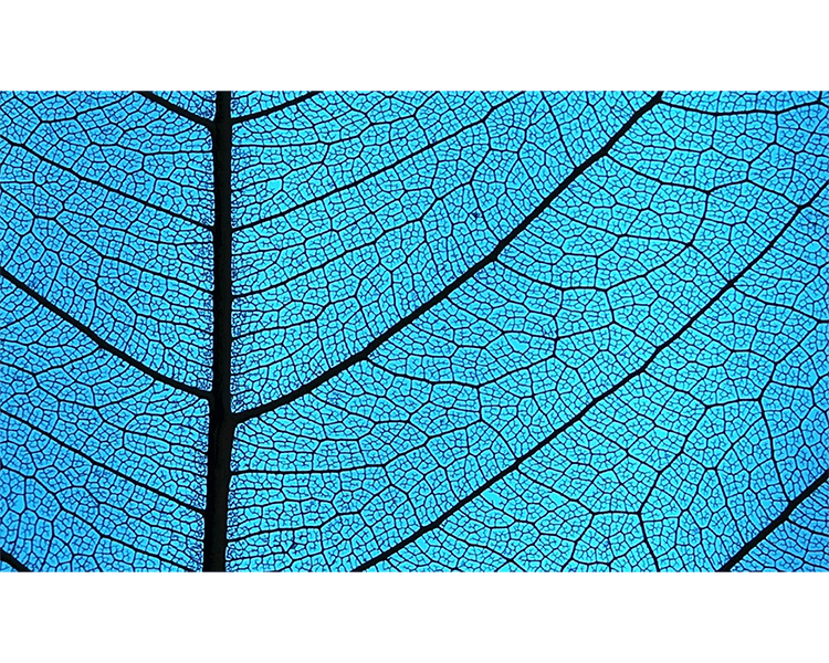 FNZ Impact Wins Multiple Awards for Sustainable Investing MID