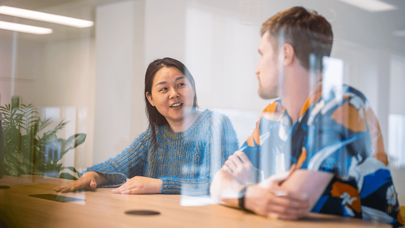 CA3 Careers Stats panel OPT