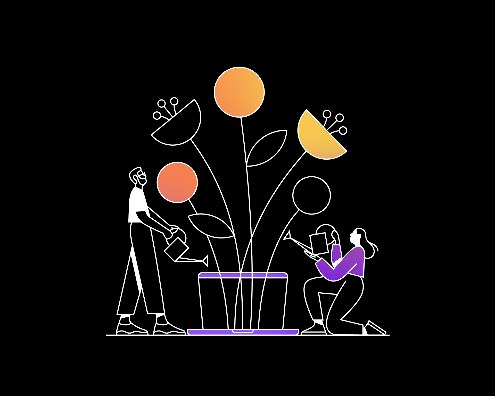 Invest with Impact MID