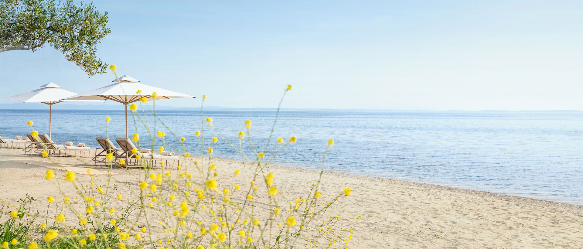TUI - Halkidiki